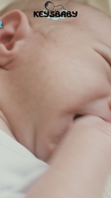 Charger la vidéo : 